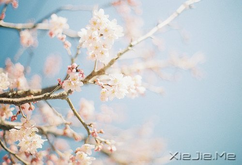 ���ܳɹ���������������� (9)