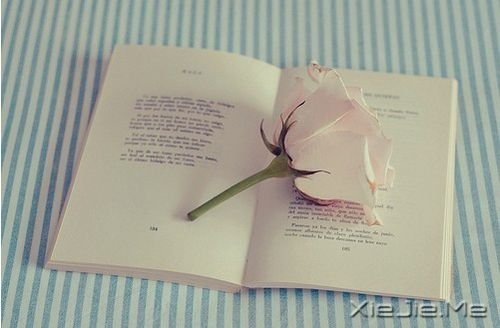 ����������㶮�ã�������ϧ (5)