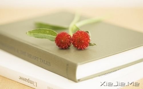 ��������۶��Ǳ��˸��ģ����˶����Լ��õ� (4)